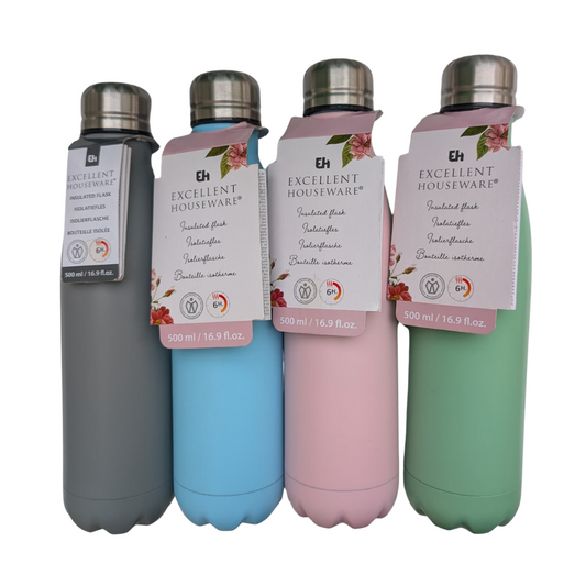 Insulated Water Bottle Silver Cap