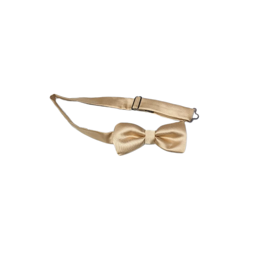 Vianni Collection Bow Ties C502